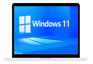 Windows 11 Activator