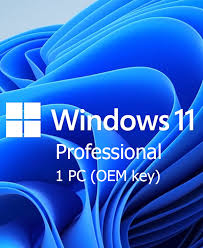 Get Windows 11 Pro OEM Key Free for All Versions