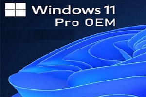 Get Windows 11 Pro OEM Key Free for All Versions