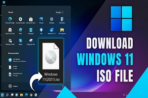 Windows 11 22000.51 ISO Free Download - Insider Preview 2024