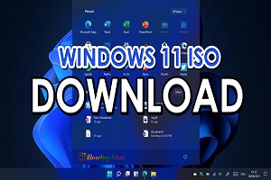 Windows 11 ISO File 32/64-bit Full [Official Setup Links 2024]