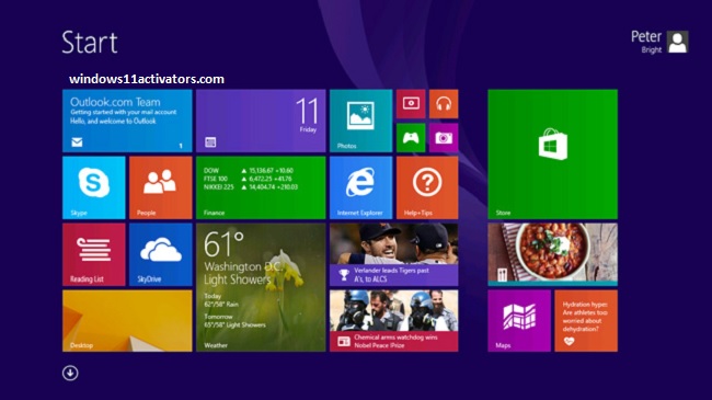 Windows 8.1 Pro Activator TXT CMD [100% Working] for 32-64 Bit