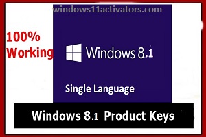 Windows 8.1 Single Language Product Key Activation [32-64 Bit]