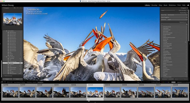 Lightroom Crack 2024 v13.1.0 Mod APK (Premium Unlocked) 